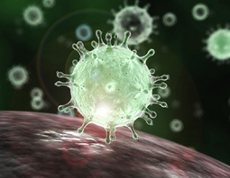 از دست دادن حس بویایی اولین نشانه ابتلا به عفونت کروناویروس
