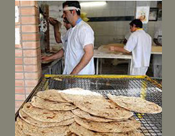 کرونا بهانه‌ای جدید برای کم کاری شده است/ کود اوره به گندم نرسد نانواها نمک نان را زیاد می‌کنند