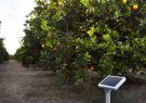ساخت پنل‌های خورشیدی متحرک برای اراضی کشاورزی