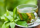 تاثیر عصاره چای سبز در مقابله با فیبروز ریوی