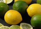 اختلاف دو وزارتخانه این‌بار در واردات «لیمو»/ ارز کمیاب کشور صرف واردات چه محصولاتی می‌شود؟