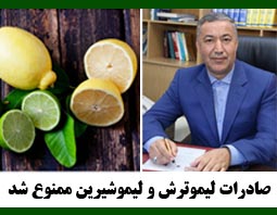 صادرات لیموترش و لیموشیرین ممنوع شد + سند