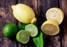 قیمت عمده فروشی لیمو ترش و شیرین تا ۲۹ هزار تومان بالا رفت+ نرخ انواع میوه
