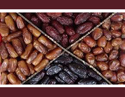 قیمت خرما برای ماه رمضان اعلام شد/دپوی خرمای صادراتی در گمرکات