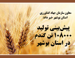 پیش‌بینی تولید ۱۰۸۰۰۰ تن گندم در استان بوشهر