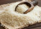 صادرات برنج هند متوقف شد