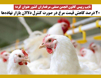 ۲۰ درصد کاهش قیمت مرغ در صورت کنترل دلالان بازار نهاده‌ها