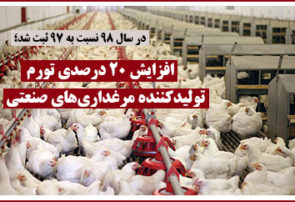 افزایش ۲۰ درصدی تورم تولیدکننده مرغداری‌های صنعتی