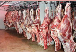 تولید گوشت قرمز در کشتارگاه‌های رسمی کشور به ٣٠.۹ هزار تن رسید