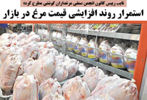 استمرار روند افزایشی قیمت مرغ در بازار