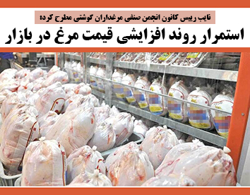 استمرار روند افزایشی قیمت مرغ در بازار
