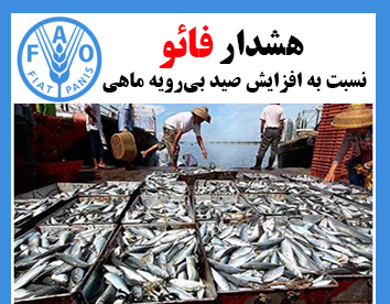 هشدار فائو نسبت به افزایش صید بی‌رویه ماهی