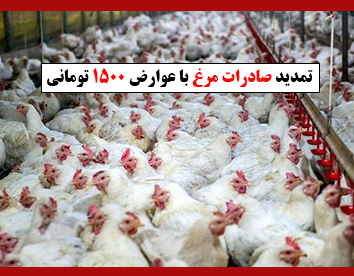 تمدید صادرات مرغ با عوارض ۱۵۰۰ تومانی