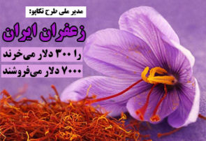 زعفران ایران را ۳۰۰ دلار می‌خرند ۷۰۰۰ دلار می‌فروشند