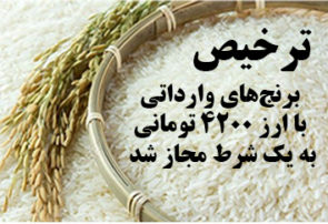 ترخیص برنج‌های وارداتی با ارز ۴۲۰۰ تومانی به یک شرط مجاز شد + سند