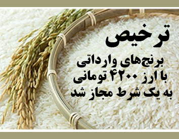 ترخیص برنج‌های وارداتی با ارز ۴۲۰۰ تومانی به یک شرط مجاز شد + سند