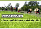امکان تولید کمباین برنج در داخل کشور وجود دارد