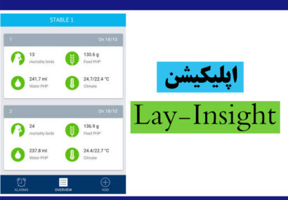 اپلیکیشن Lay-Insight