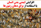 افزایش ایمنی بدن انسان با استفاده از بزاق دهان زنبورها