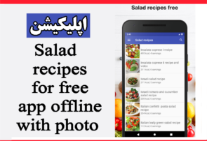 اپلیکیشن Salad recipes for free app offline with photo