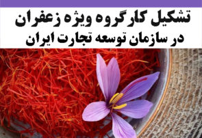 تشکیل کارگروه ویژه زعفران در سازمان توسعه تجارت ایران