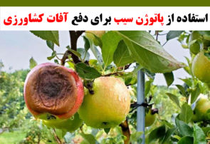 استفاده از پاتوژن سیب برای دفع آفات کشاورزی