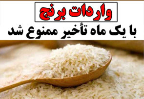 واردات برنج با یک ماه تأخیر ممنوع شد