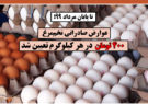عوارض صادراتی تخم‌مرغ ۴٠٠ تومان در هر کیلوگرم تعیین شد