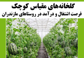گلخانه‌های مقیاس کوچک فرصت اشتغال و درآمد در روستاهای مازندران