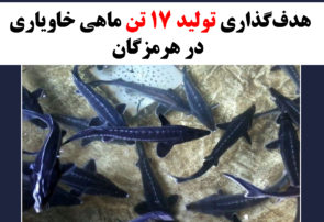 هدف‌گذاری تولید ۱۷ تن ماهی خاویاری در هرمزگان