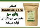 کمپانی Davidson’s Tea چای سبز مخصوص ورزشکاران تولید می‌کند