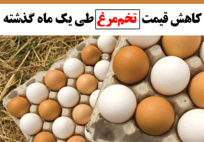 کاهش قیمت تخم‌مرغ طی یک ماه گذشته
