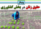 وبینار حقوق زنان در بخش کشاورزی