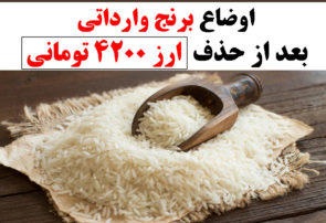 اوضاع برنج وارداتی بعد از حذف ارز ۴۲۰۰ تومانی