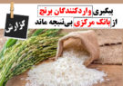 پیگیری واردکنندگان برنج از بانک مرکزی بی‌نتیجه ماند