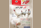 کلید ایرانیزه ‌کردن صنعت مرغداری در برزگر شهریور