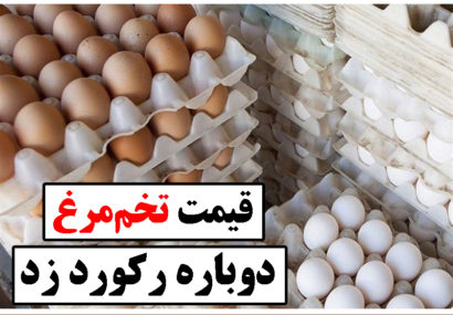 قیمت تخم‌مرغ دوباره رکورد زد/ هرشانه ۳۳ هزار تومان
