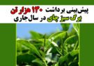 پیش‌بینی برداشت ۱۳۰ هزار تن برگ سبز چای در سال‌جاری