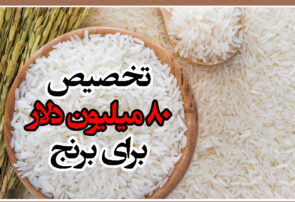 تخصیص ۸۰ میلیون دلار برای برنج/ ۲۳۰ هزار تن در آستانه ترخیص