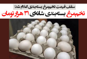 تخم‌مرغ بسته‌بندی شانه‌ای ٣١ هزار تومان