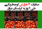 صادرات‌۱۴‌هزار‌تن گوجه‌فرنگی طی ۱۱روز به کردستان عراق