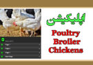 اپلیکیشن Poultry Broiler Chickens