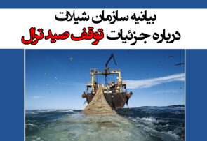 بیانیه سازمان شیلات درباره جزئیات توقف صید ترال