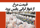 قیمت مرغ از دیوار گرانی پایین پرید/ گرمی بازار با توزیع مرغ یخ زده!