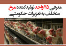 معرفی ۴۵ واحد تولیدکننده مرغ متخلف به تعزیرات حکومتی