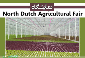 نمایشگاه North Dutch Agricultural Fair
