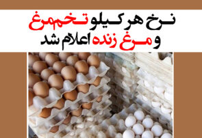 نرخ هر کیلو تخم‌مرغ و مرغ زنده اعلام شد
