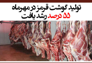 تولید گوشت قرمز در مهر‌ماه ۵۵ درصد رشد یافت