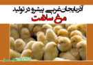 آذربایجان‌غربی پیشرو در تولید مرغ سلامت