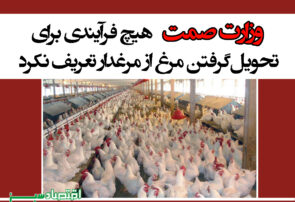 وزارت صمت هیچ فرآیندی برای تحویل‌گرفتن مرغ از مرغدار تعریف نکرد